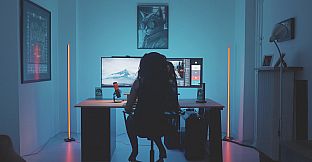 Hacked: The Streamer