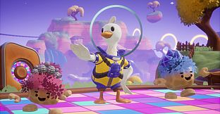 Duck Side of the Moon