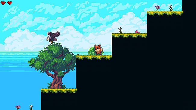 In a search of a new home