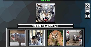 Repeat the image: Animals