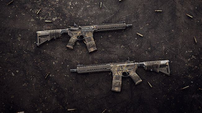 Insurgency: Sandstorm - Endurance Weapon Skin Set