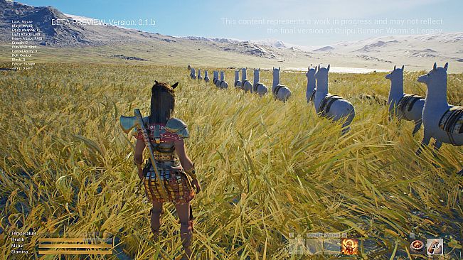 Quipu Runner: Warmi's Legacy