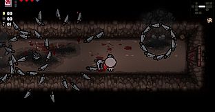 The Binding of Isaac: Afterbirth