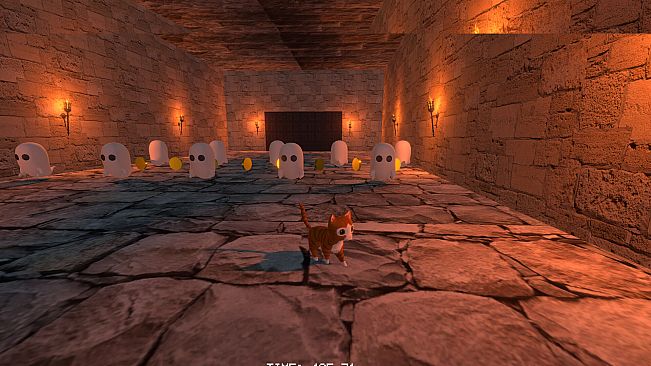 9 Trials of Whiskers