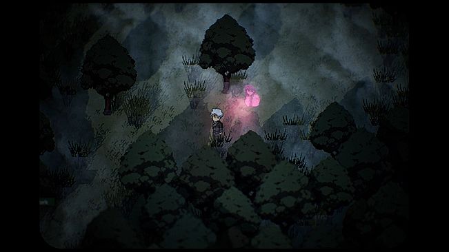 Myrtle Grove: A Clair V. Mystery