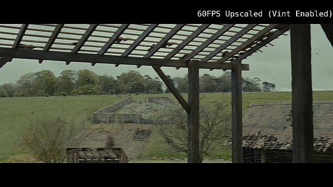 Vint: Realtime Video Interpolation and CRT Emulation