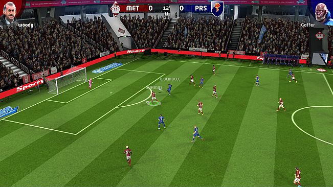 Sociable Soccer Champions