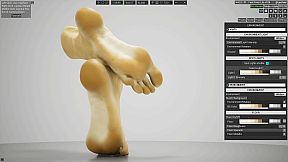 HAELE 3D - Feet Poses Lite - Drawing References