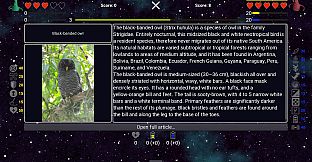 I've Seen Everything - Birds