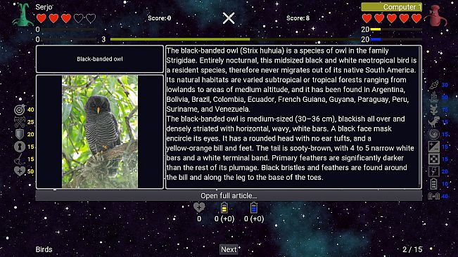 I've Seen Everything - Birds