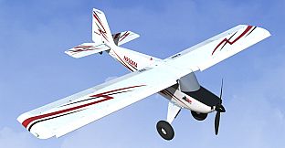 RealFlight Evolution - 2026 Year Content Pass
