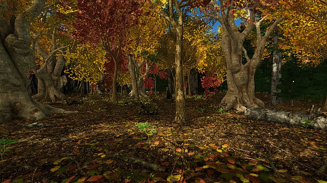 Gander National Park