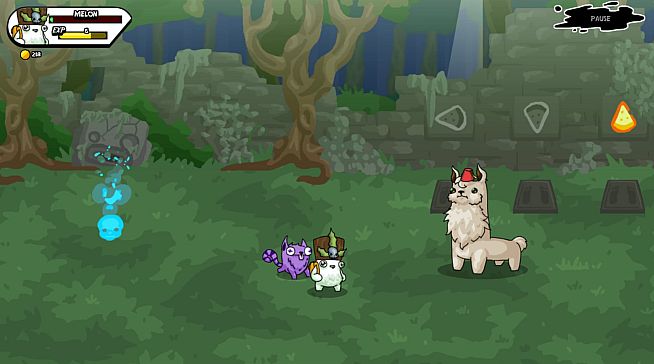 The Misadventure Of Melon