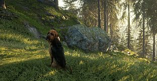 theHunter: Call of the Wild - Bloodhound