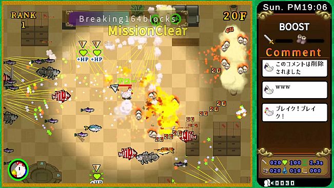 Fish or Chicken Chicken Survivor