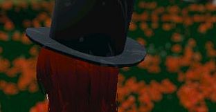 Hide and Seek - Top Hat