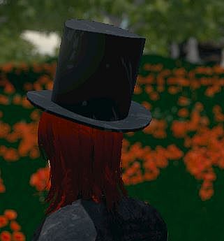 Hide and Seek - Top Hat