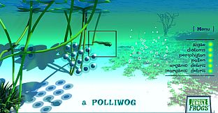 Markerboard Jungle: Frogs