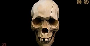 Mirrored - Chapter 1