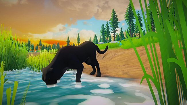 Pandora : Wild Origins