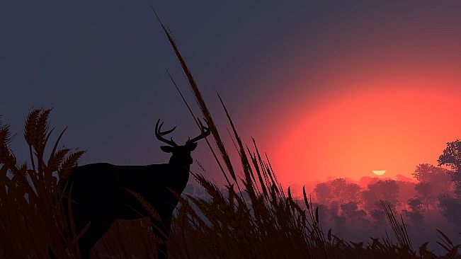 Deer Hunting - The Season 2