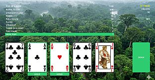 Poker Double or Nothing
