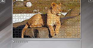 Super Jigsaw Puzzle: Generations - Big Cats 3