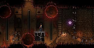 Castlevania: Belmont's Curse Midnight Edition