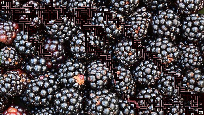 A Mazing Cheesesnake