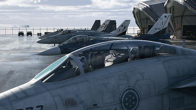 ACE COMBAT 8: WINGS OF THEVE Pre-Order