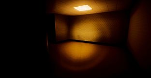 Backrooms: The Last Observer
