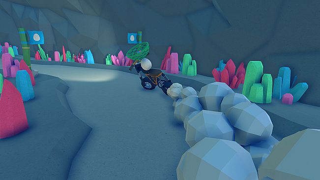 Eggcelerate! to the Tropics