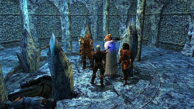 Neverwinter Nights: Enhanced Edition Doom of Icewind Dale