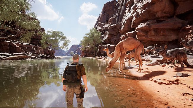 Australian Hunter