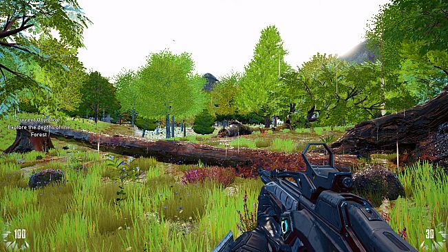 The Seasons Collection: Spring