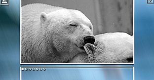 Super Jigsaw Puzzle: Generations - Bears Puzzles