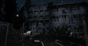 Darkness in the Forest