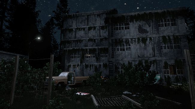 Darkness in the Forest