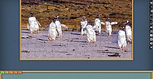 Jigsaw Puzzle Pack - Pixel Puzzles Ultimate: PP2 Birds