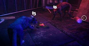 The Cat: Tales of Istanbul