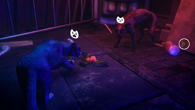 The Cat: Tales of Istanbul