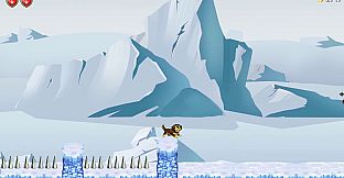 Teckel Adventure