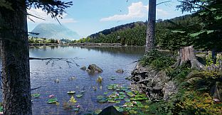 Birding Simulator: Bird Photographer