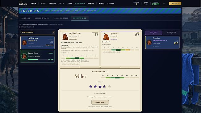 The Gallops: Horse Racing Manager