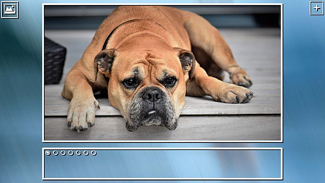 Super Jigsaw Puzzle: Generations - Dogs Puzzles