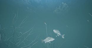 Bassmaster Fishing 2022: Super Deluxe Edition