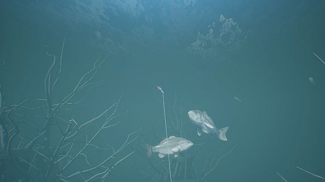 Bassmaster Fishing 2022: Super Deluxe Edition