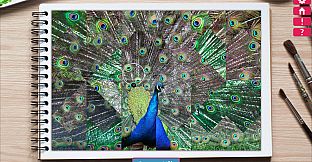 Just Find It 2 Collector's Edition