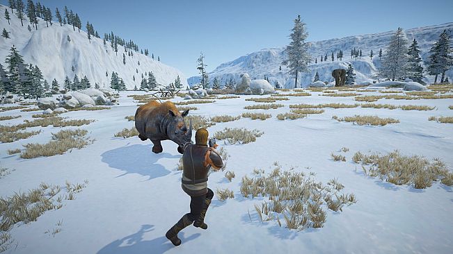 The Submerging Island