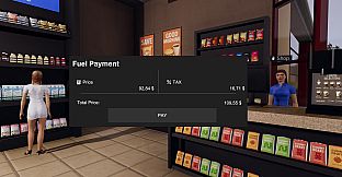 Minibus Simulator